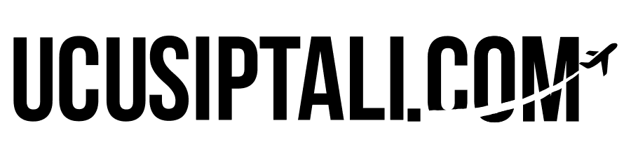 ucus-iptali