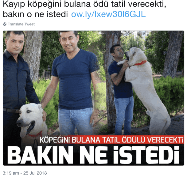 haber-sitesi-twitter.png