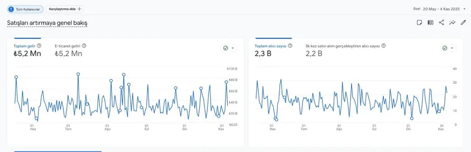 Google Search Console performans metrikleri - 20 Mayıs - 4 Kasım dönemi