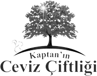 Kaptan'ın Ceviz Çiftliği
